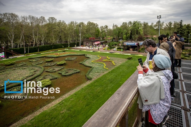 جشنواره لاله