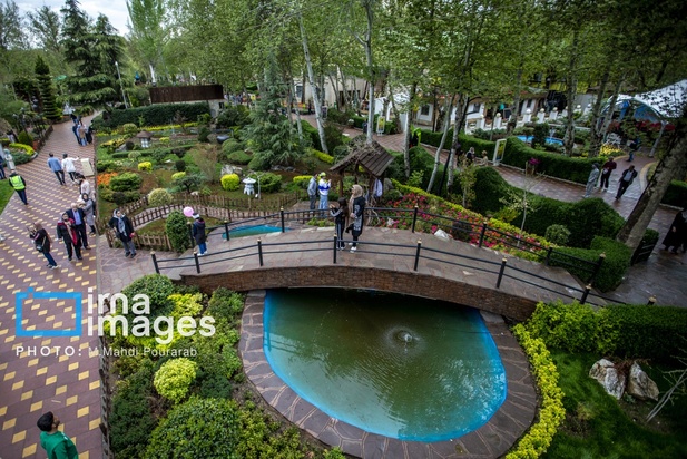 جشنواره لاله