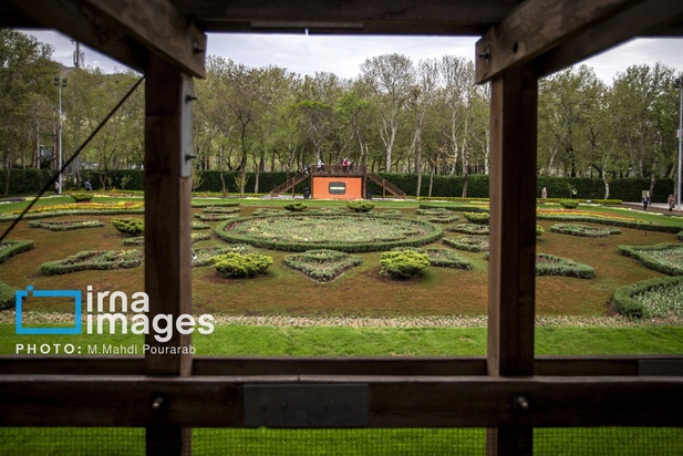 جشنواره لاله