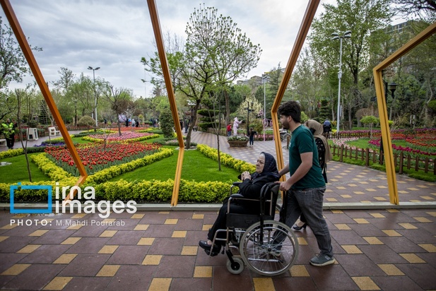 جشنواره لاله