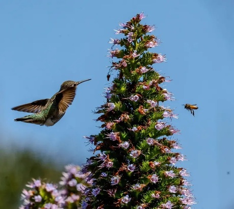 تصاویر دیدنی و بامزه از حیات وحش