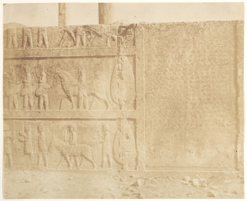 عکس های لوییجی پشه