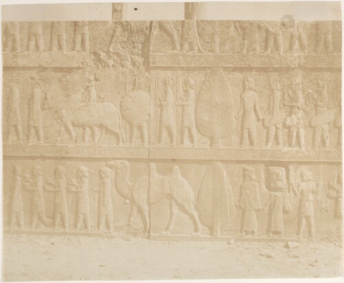 عکس های لوییجی پشه