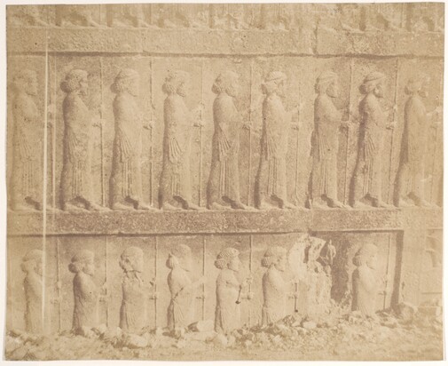 عکس های لوییجی پشه