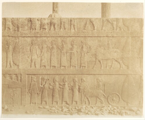 عکس های لوییجی پشه