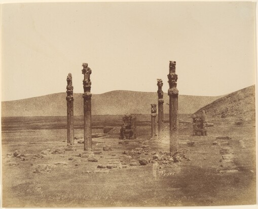 عکس های لوییجی پشه