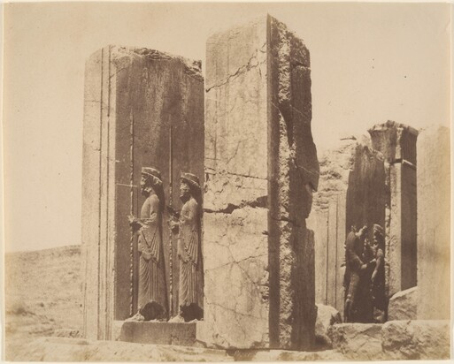 عکس های لوییجی پشه