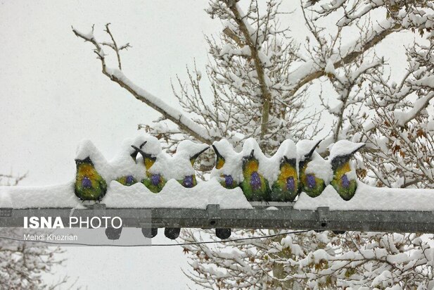 بارش برف پاییزی در همدان