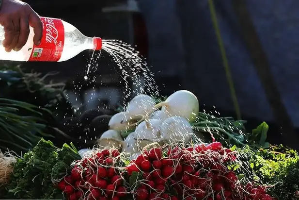 بازار چالوس