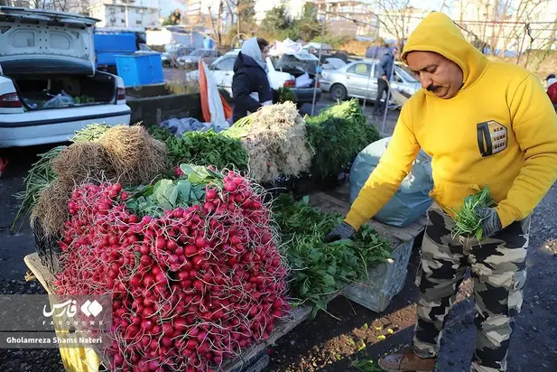 بازار چالوس