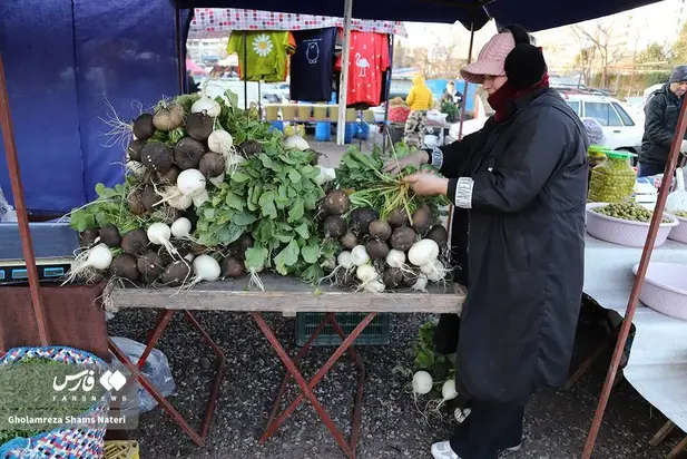 بازار چالوس