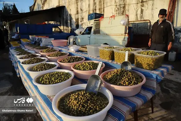 بازار چالوس