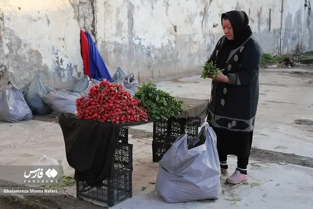 بازار چالوس