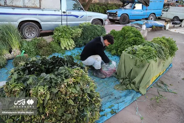 بازار چالوس