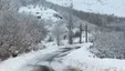 برف و باران در محور‌های نیمی از استان‌های کشور