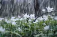 کاهش ۲۷درصدی بارش‌ها در ایران