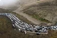 جاده چالوس از ساعت 15 امروز یک طرفه می‌شود