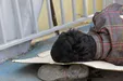 آخر خط زندگی!/ کارتن‌خواب‌هایی که مدارک شناسایی خود را می‌فروشند