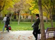 آمار وحشتناک خانوار‌های تک نفره در ایران؛ افراد مجرد دچار اختلالات روانی می‌شوند!