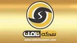 بازداشت ۲ نفر از سرکرده‌های سکه ثامن در مشهد