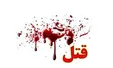 همسرکشی در سن ۸۰ سالگی/ قاتل: حوصله مریضی همسرم را نداشتم و او را کشتم!