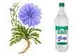 خواص معجزه آسای عرق کاسنی