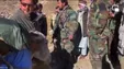 کنایه فرمانده مقاومت پنجشیر به طالبان با یک الاغ! +فیلم