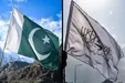 ببینید| لحظه هدف قرار دادن کاروان سربازان طالبان توسط پاکستان