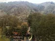 عکس دسته جمعی جوانان در دربند تهران سال ۱۳۱۱