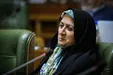 نمایندگان مجلس هزینه طرح ترافیک را از جیب مبارک بدهند/اسامی استفاده‌کنندگان از طرح را اعلام می‌کنیم