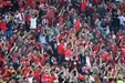 ویدئوی زیبایی از نجات یک پرنده توسط هوادار پرسپولیس