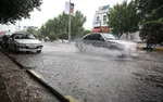 ببینید| بارش شدید باران تابستانی در گنبدکاووس