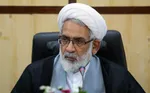 تشخیص جاسوس با قوه قضاییه است/ در قانون گفته نشده که تشخیص جاسوس بر عهده وزارت اطلاعات است