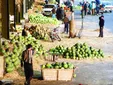 هندوانه شب یلدا در سال ۱۳۷۴؛ کیلویی ۱۵ تومان! +عکس