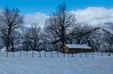 طبیعت زیبای رضوانشهر