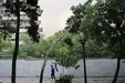 وزش باد شدید در ۱۵ استان طی ۲۴ ساعت آتی