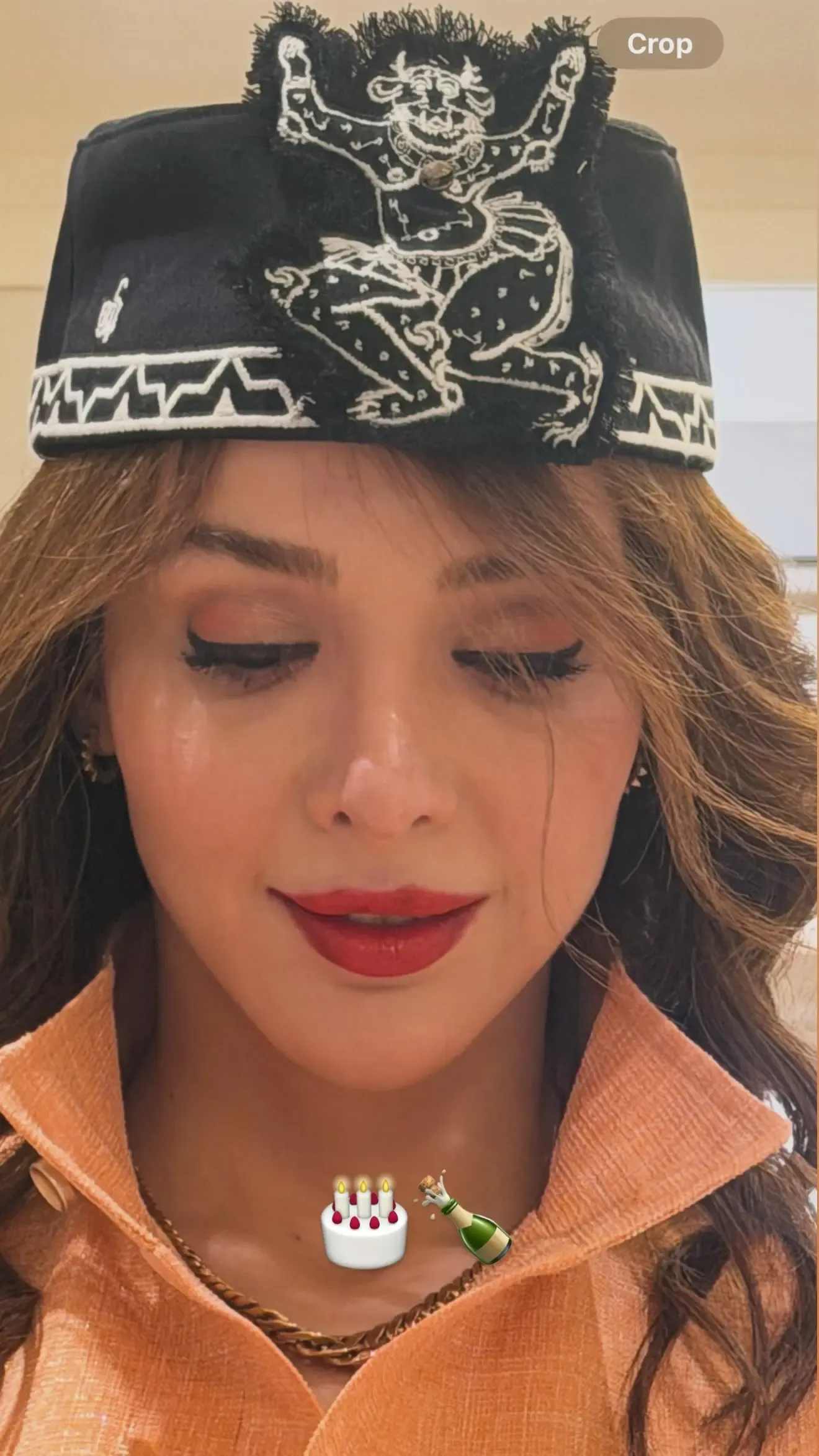 جشن تولد المیرا دهقانی جشن تولد المیرا دهقانی