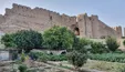 تخریب آثار باستانی در افغانستان توسط طالبان +فیلم