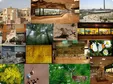بازدید رایگان از موزه تنوع ‌زیستی پردیسان