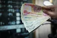 ارز اربعین از این تاریخ عرضه می‌شود