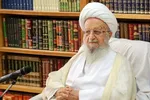 آیت‌الله مکارم شیرازی: نباید اختلاف نظرها، هر چند برخاسته از انگیزه‌های صحیح، زمینه تضعیف جبهه داخلی را فراهم آورد