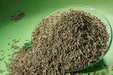 ۱۵ خاصیت فوق‌العاده استفاده از رازیانه