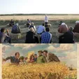 کنایه همتی به جلیلی: ‏وقتی گفتم مدل مطلوب این دوستان کره‌شمالی است، برخی باورشان نشد
