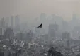 راز بوی نامطبوع در تهران؛ سناریوهای جدید مطرح شد