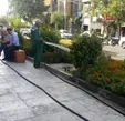 آبیاری فضای سبز با آب آشامیدنی صورت می‌گیرد/ دریاچه خلیج‌فارس خشک نمی‌شود