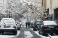 پیش‌بینی بارش برف و باران در این مناطق کشور