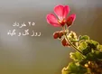 ۲۵ خرداد؛ روز گل و گیاه