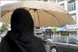 در سایت‌های صیغه‌یابی چه می‌گذرد؟