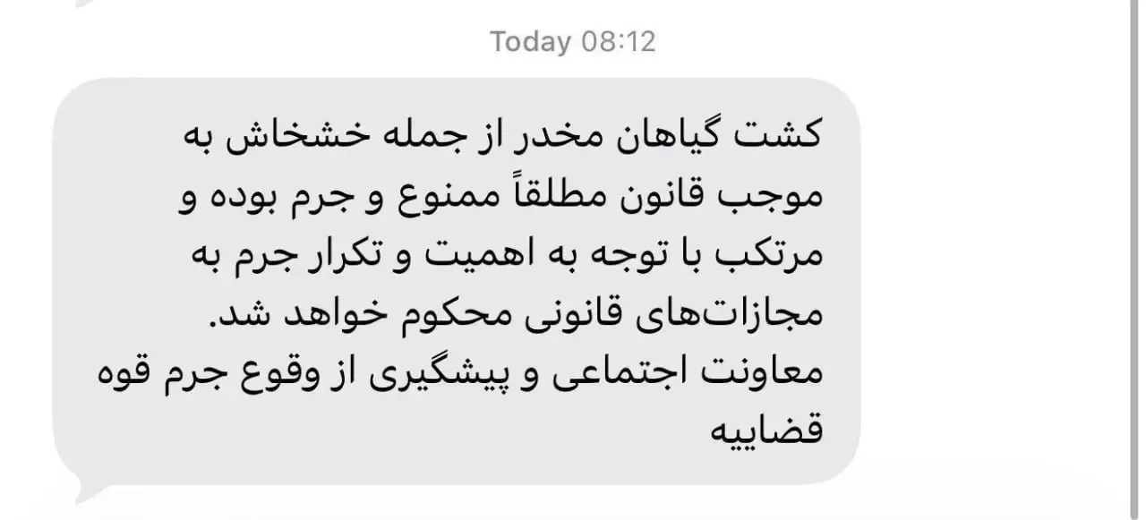 کشت خشخاش غیر قانونی ۴ برابر شد کشت خشخاش غیر قانونی ۴ برابر شد