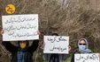 پارک ملی کرخه؛ زیستگاه گوزن زرد